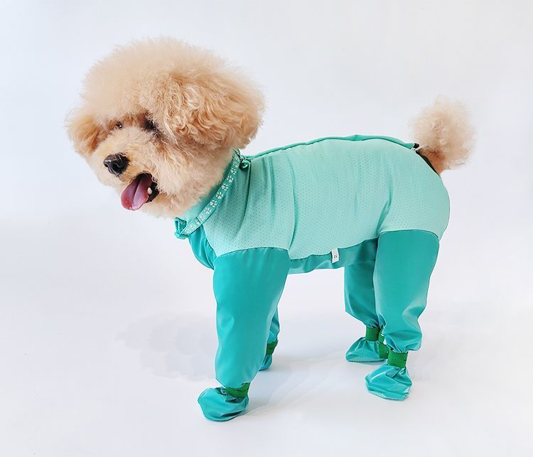https://fulmo-img-server.com/perry-dog/f4522780-3553-48ed-b1b7-de1541f9252c.jpg