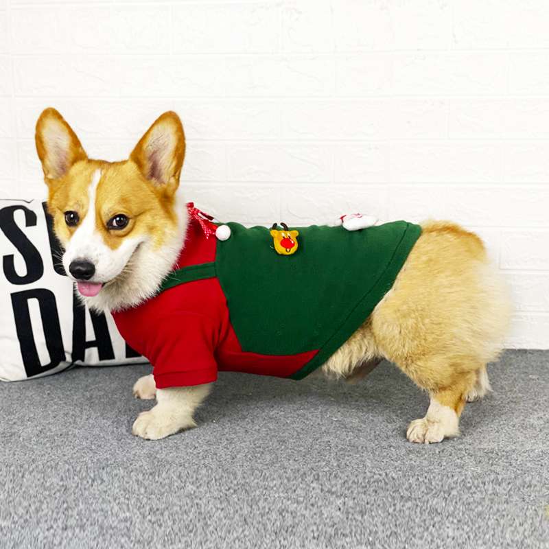  コーギー用クリスマス犬服