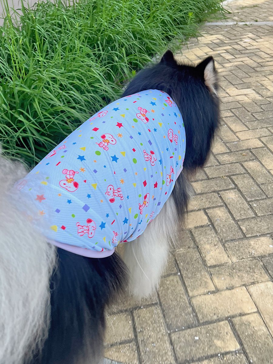 犬服 おやすみ星空キャラクターパジャマ