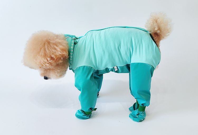 https://fulmo-img-server.com/perry-dog/f5b15e13-e0d7-455e-84de-e0cd31579256.jpg
