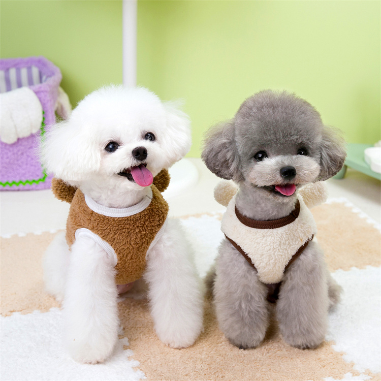 https://fulmo-img-server.com/perry-dog/f655eb33-3704-4bc4-9982-d33d3726837b.jpg
