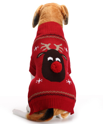 https://fulmo-img-server.com/perry-dog/f6c41f5c-889a-4b3c-94c9-378325f084cc.jpg