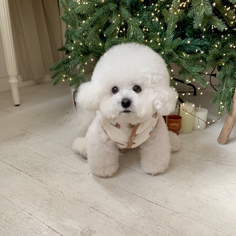 犬服 ふわもこ冬仕様ダウンベスト