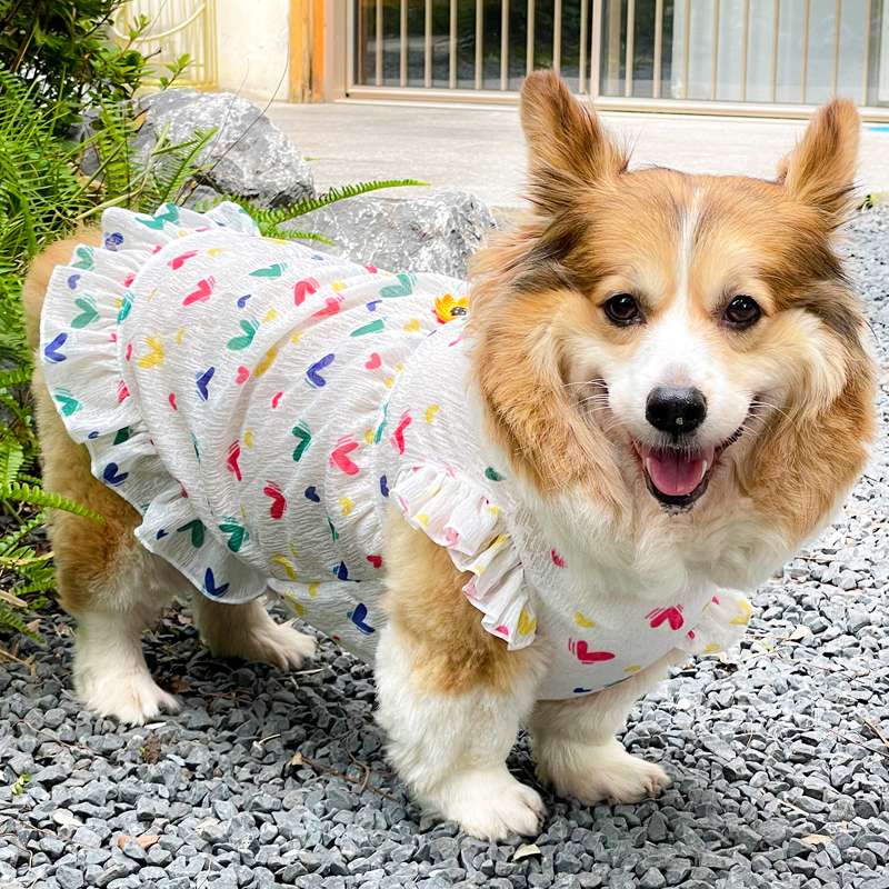 犬服  ふんわりフリル小型犬用ワンピース