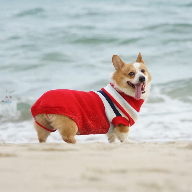 犬服 北欧風ノルディック柄ニットセーター