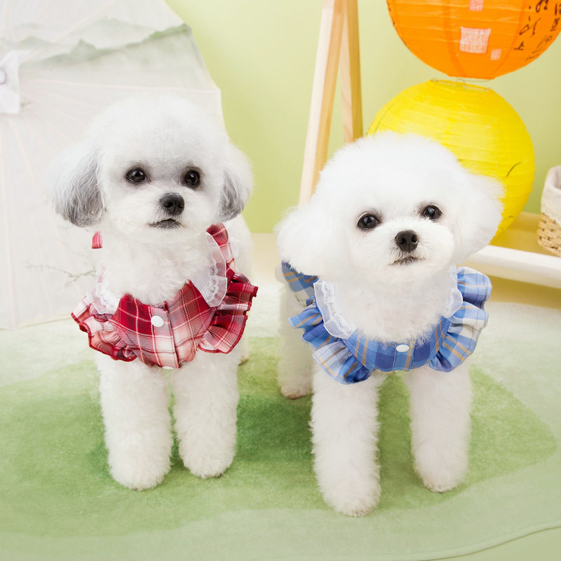 https://fulmo-img-server.com/perry-dog/fa6d7fad-fef8-49ec-bfaa-acecf327bdd7.jpg