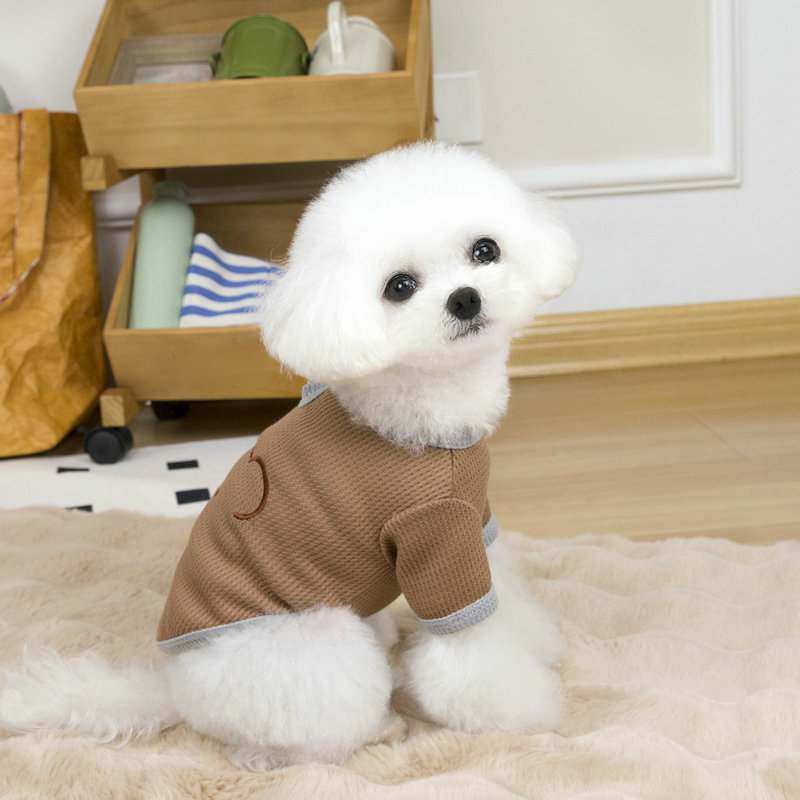 https://fulmo-img-server.com/perry-dog/fb5bf1c7-3e2d-4e46-a3af-7fb35d797ca7.jpg