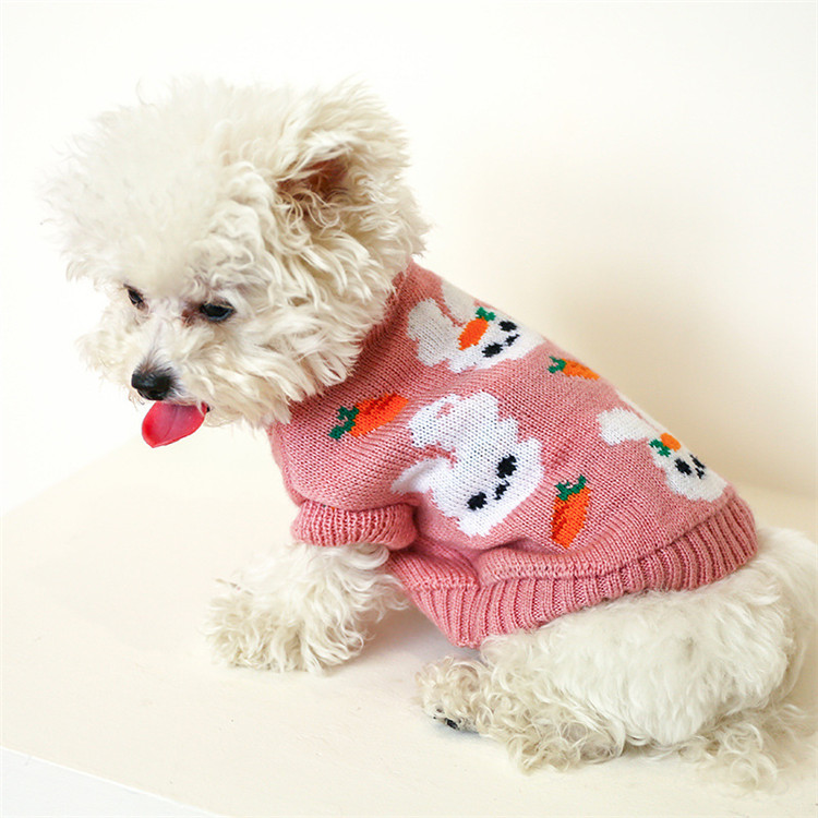 https://fulmo-img-server.com/perry-dog/fb5e4f8d-725d-4b29-924d-8e8f0d9aef1b.jpg
