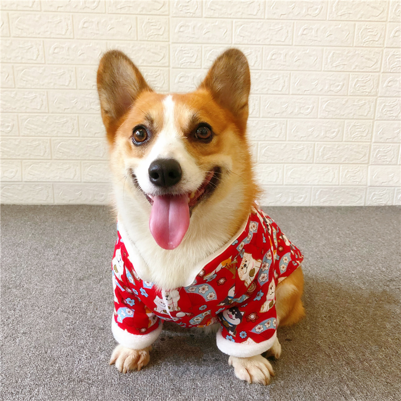 犬服 和風招き猫と富士山柄の中綿入りあったか防寒着