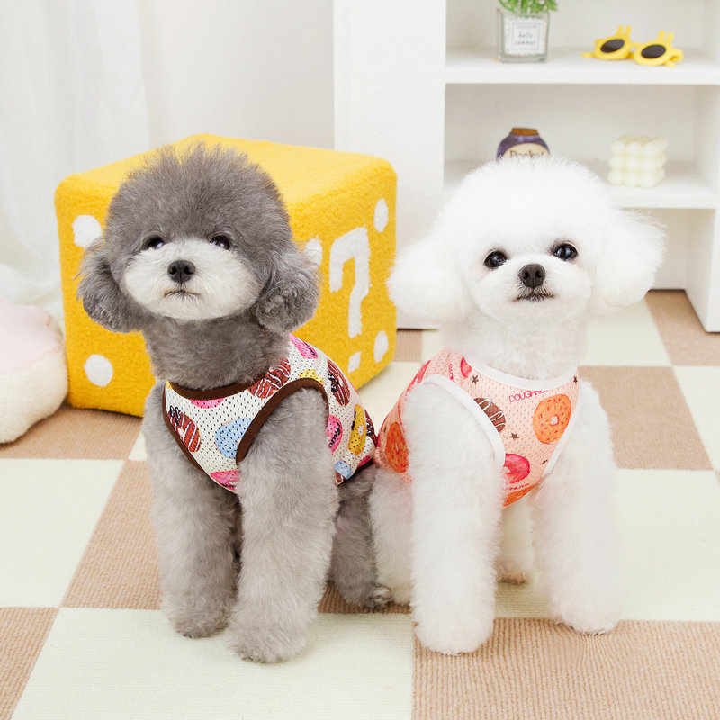https://fulmo-img-server.com/perry-dog/fbe899b9-ec86-4101-8865-5d6467ce56b5.jpg