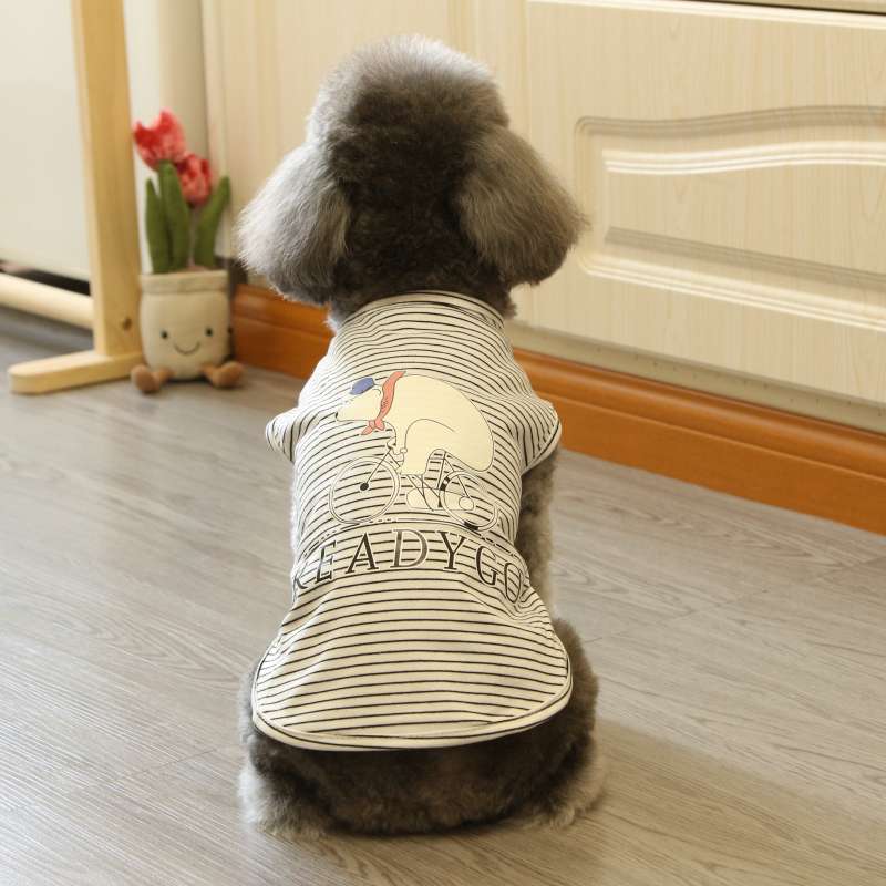 犬服  お散歩準備OK!わんちゃんTシャツ