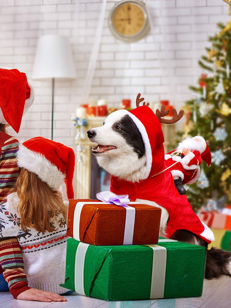 犬服 聖夜の贈り物運び聖誕老人変身犬服