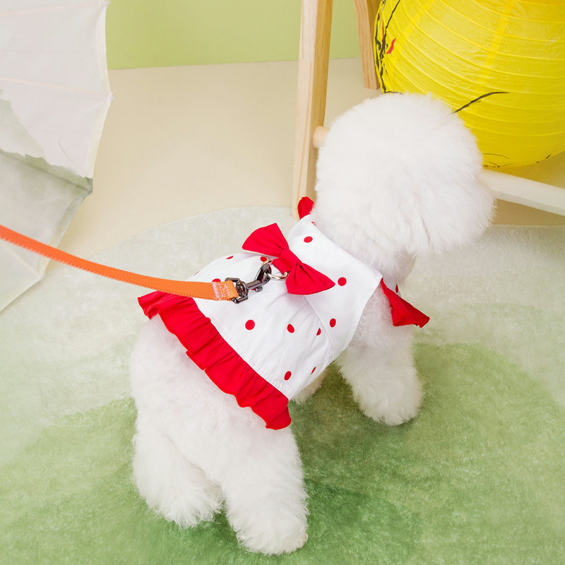 https://fulmo-img-server.com/perry-dog/fcc2638c-ce7c-45b0-8bda-967c835ce94d.jpg