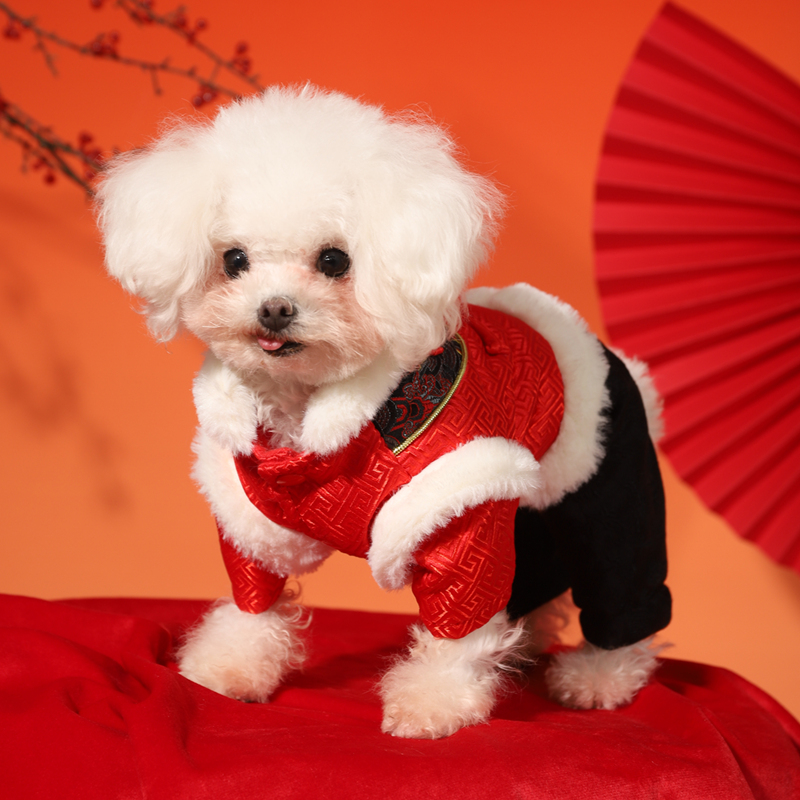 犬服 和風雅装唐草模様入り四足パンツ付きアウター