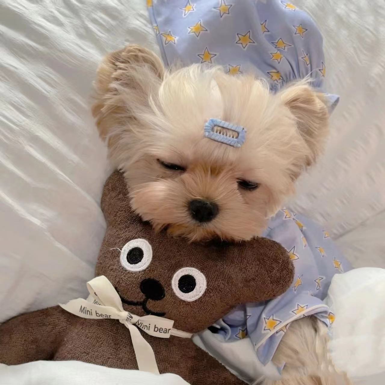 犬服 おやすみ星空パジャマ