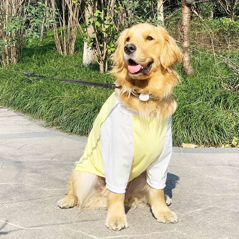 犬服  涼感メッシュ生地の大型犬用Tシャツ