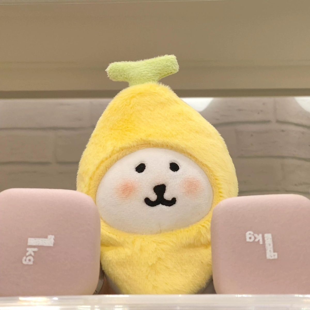 https://fulmo-img-server.com/petit-nui-shop/64d5e7d9-1885-4eb1-94a7-d589491b94ad.jpg