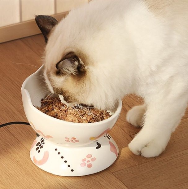https://fulmo-img-server.com/petsara/1779866528729_k42pat1f_o7d41x4v.jpeg