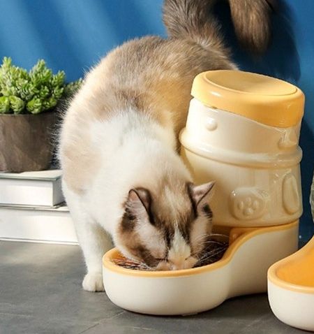 ペット食器 自動給水器付き餌皿セット一体型ペット食器