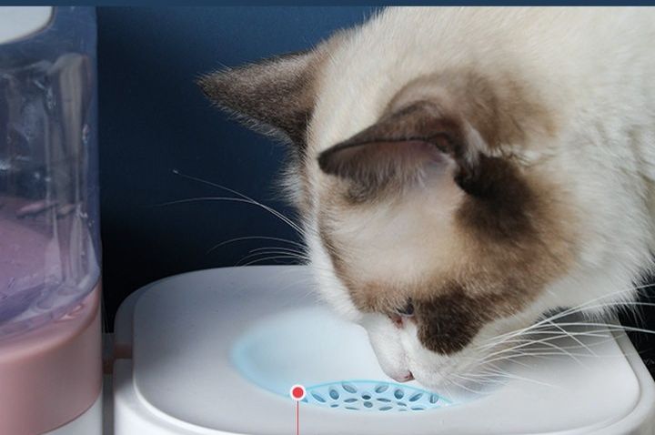 https://fulmo-img-server.com/petsara/1779867096900_pawle7wa_btmcjzrh.jpeg
