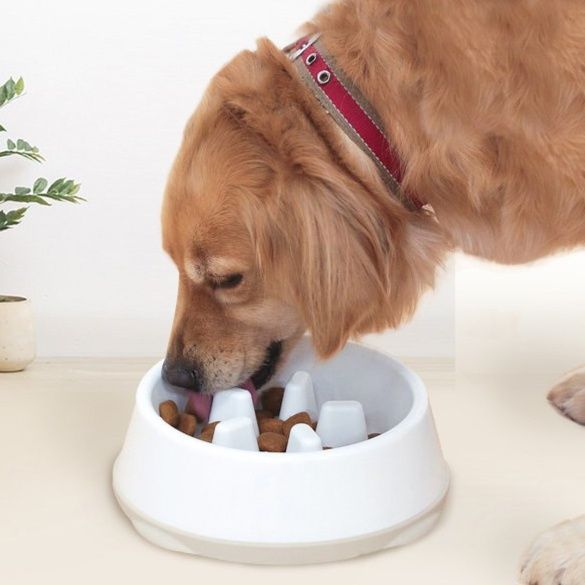 ペット食器 愛犬健康サポート突起付きゆっくり食べる食器