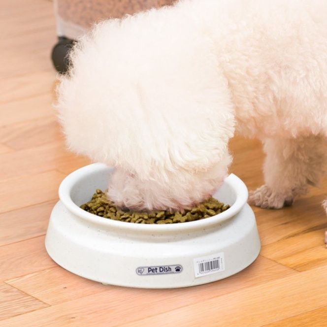 ペット食器 小型犬用浅型フードボウル安定設計食器