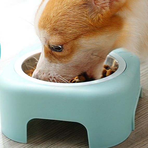 ペット食器 斜口防打翻傾斜台座付き首楽ペット食器