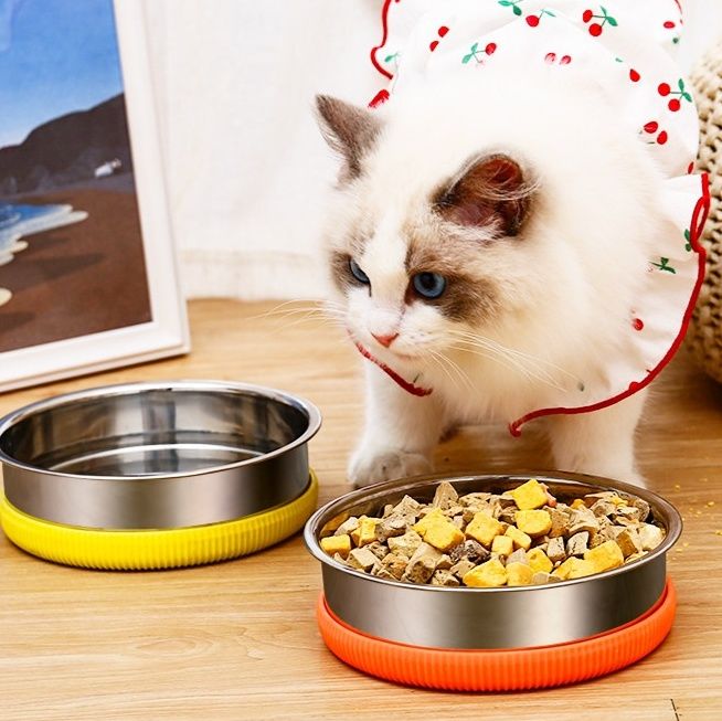 https://fulmo-img-server.com/petsara/1779873603336_t7bixzz8_4kw6hhrn.jpeg