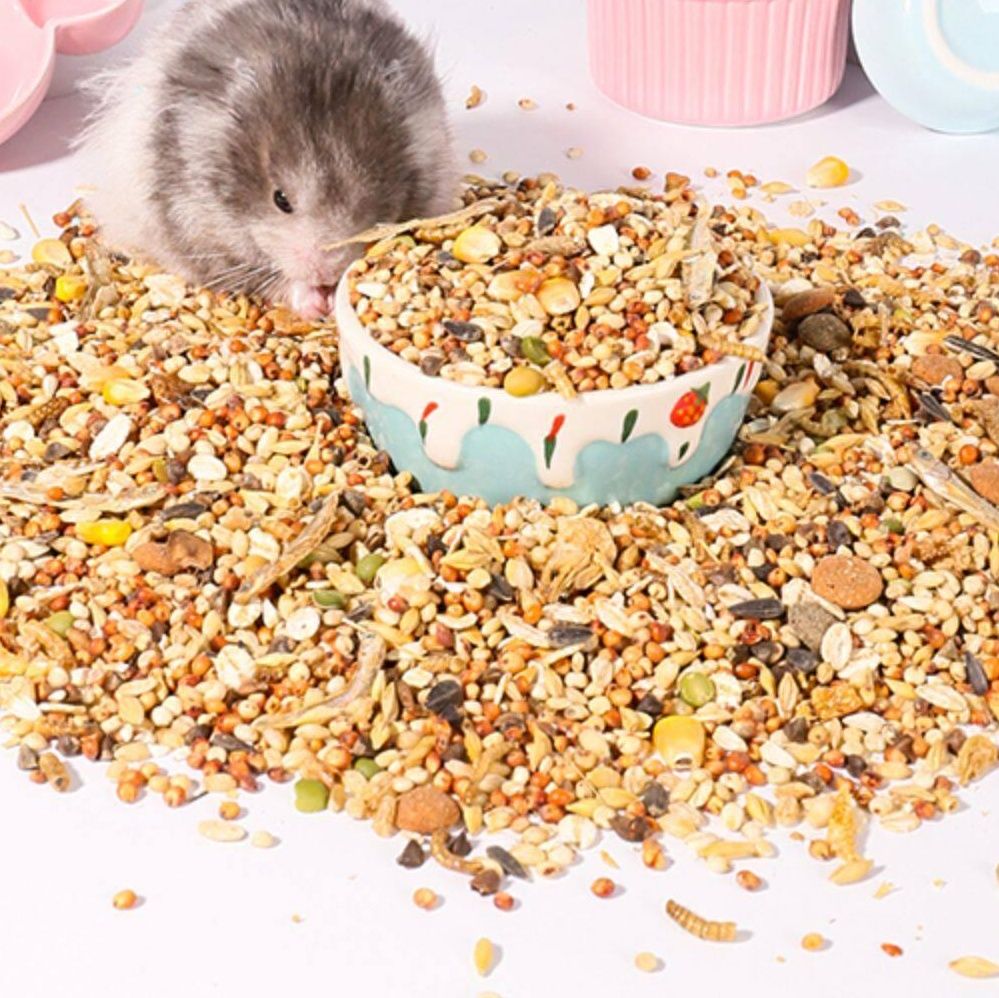 https://fulmo-img-server.com/petsara/1782368874362_6aa1s1ov_53iuwfao.jpeg