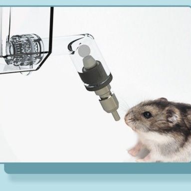 https://fulmo-img-server.com/petsara/1782395425307_jdiy94mo_p1yut7e8.jpeg