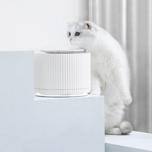 https://fulmo-img-server.com/petsara/1782398461577_7gofjxzj_tqkmb1z8.jpeg