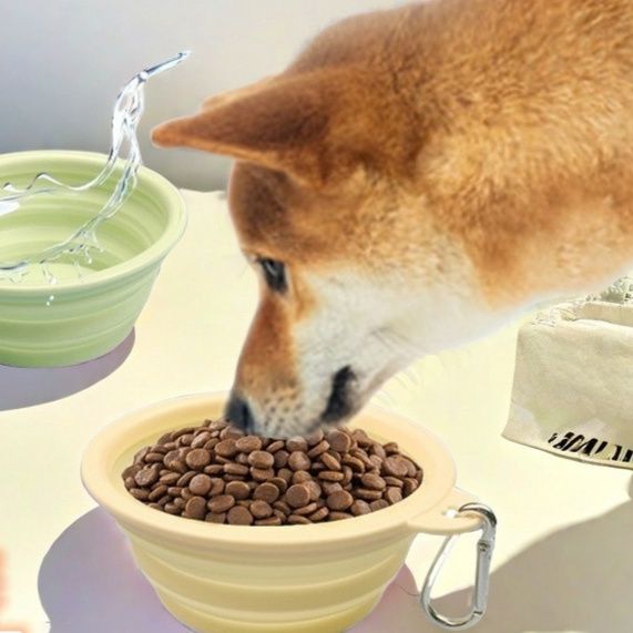 https://fulmo-img-server.com/petsara/1782399374917_sijurnpa_uryxfia0.jpeg