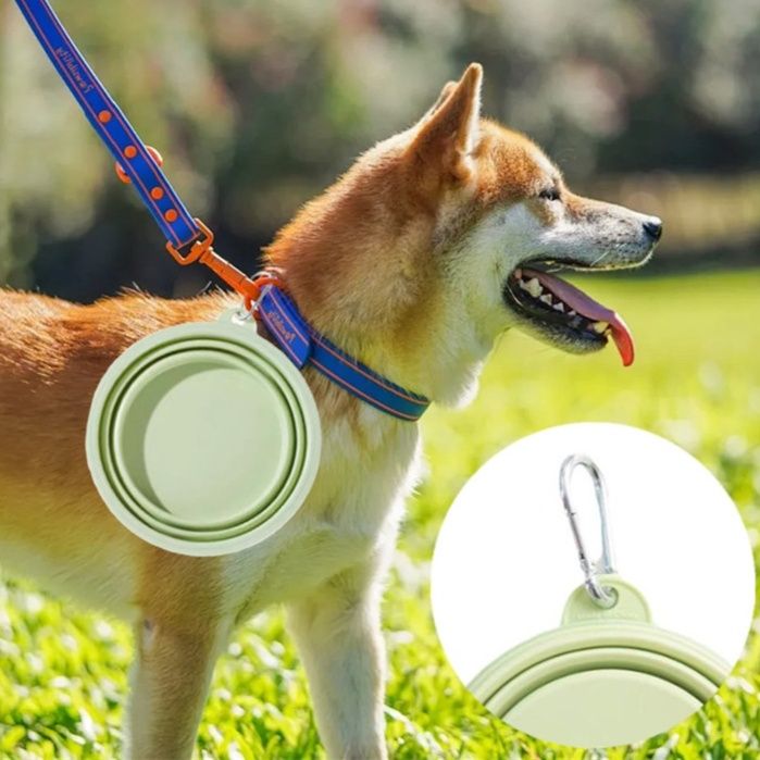 https://fulmo-img-server.com/petsara/1782399387505_vfugll2s_sr1geb21.jpeg