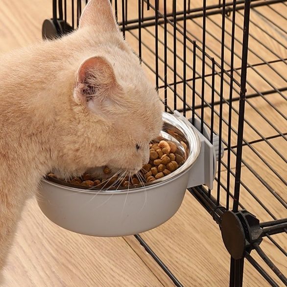 https://fulmo-img-server.com/petsara/1782437952927_vhvkld3m_qvzu0c20.jpeg