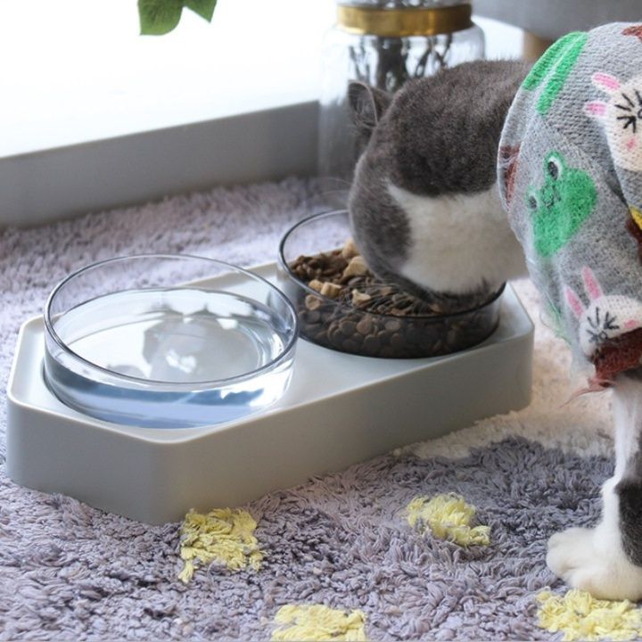 https://fulmo-img-server.com/petsara/1782446538388_7xgn27ud_8rjto6tn.jpeg