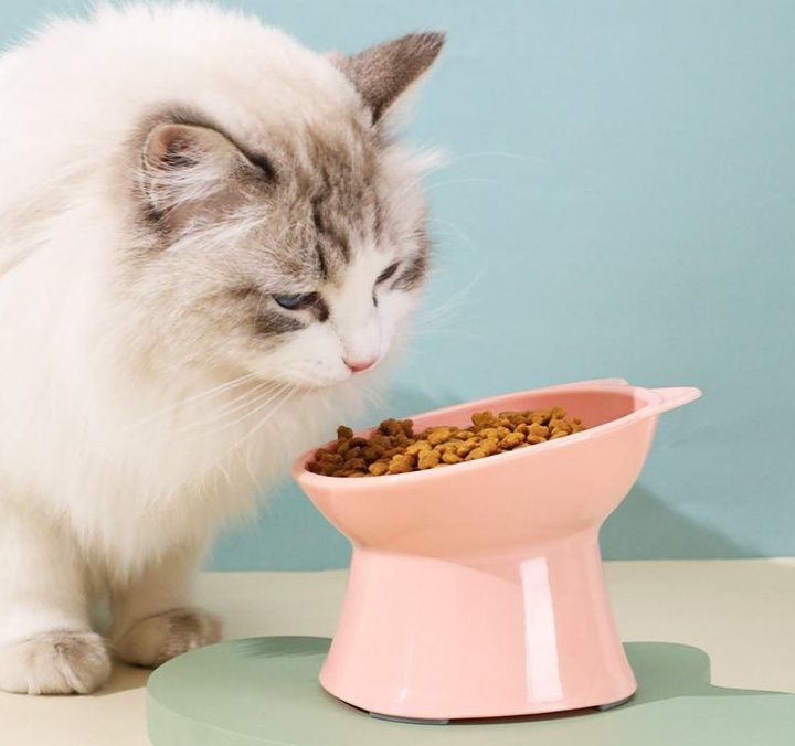 ペット食器 猫耳デザイン高台傾斜ペット食器ボウル