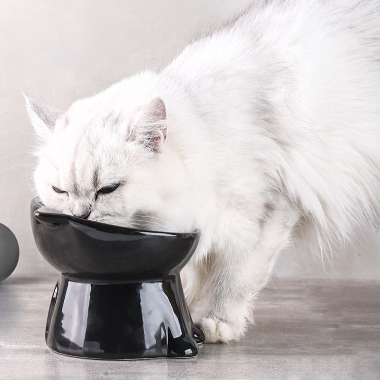 ペット食器 猫型脚付き陶器製ペット食器高台ボウル