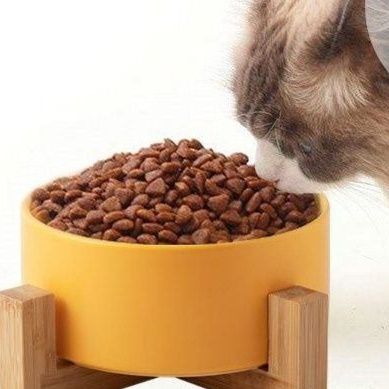 ペット食器 猫用木製スタンド付き陶器製ペア食器セット