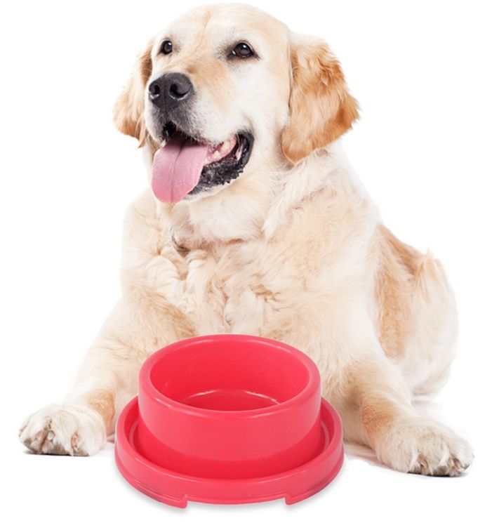 こぼれにくい滑り止め付き犬用ペット食器ボウル