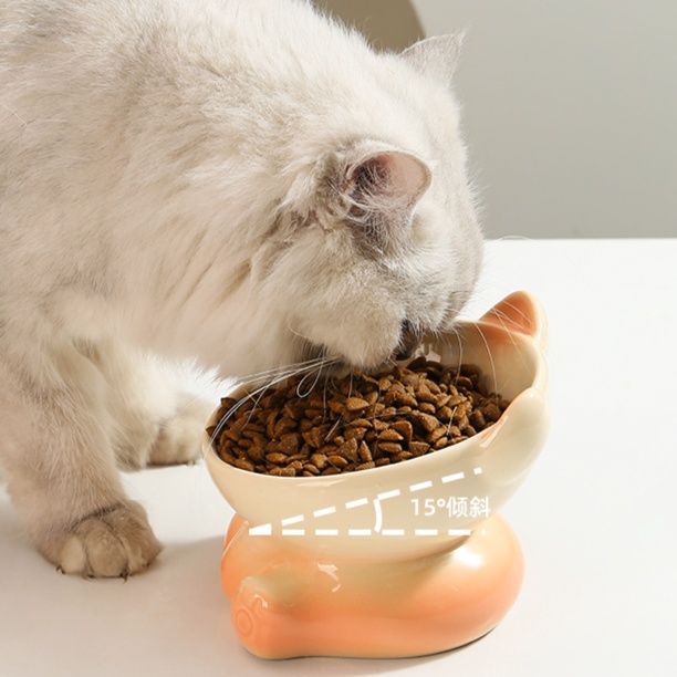https://fulmo-img-server.com/petsara/1785385688043_7etqk60g_9csvnq4p.jpeg