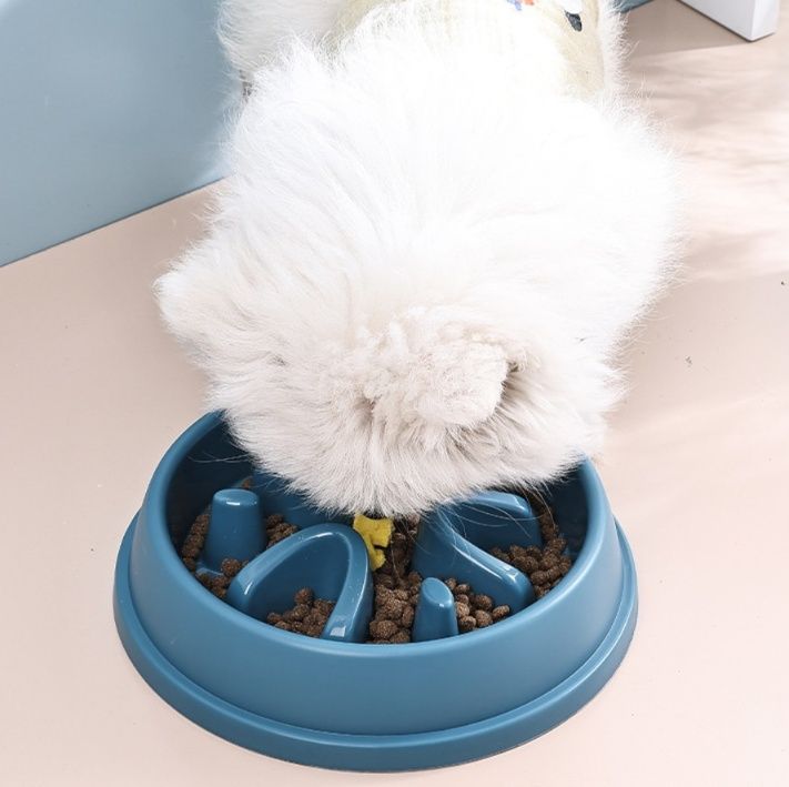 https://fulmo-img-server.com/petsara/1791174940223_1cmmkhyn_46civvqu.jpeg