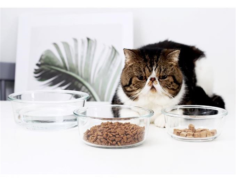 食べやすい設計 猫犬用ガラス製ペット食器 鉄製台座付き