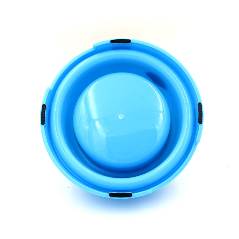 https://fulmo-img-server.com/petsara/6b2f80a3-1bfe-4aa7-a73f-e8ba2028c7f9.jpg