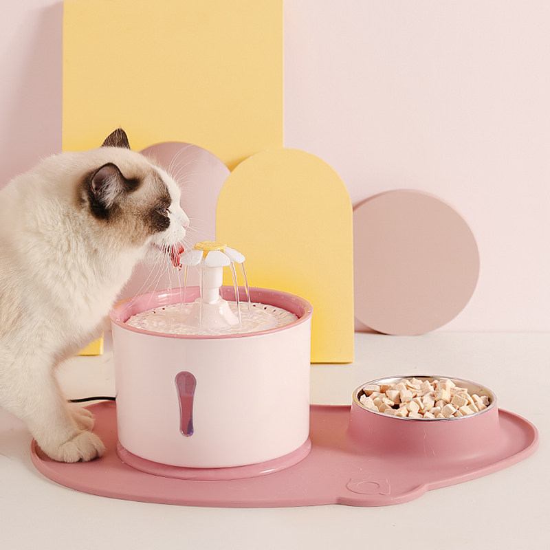 https://fulmo-img-server.com/petsara/736c4d8a-5159-4ba3-ab38-ec580c1c6f66.jpg