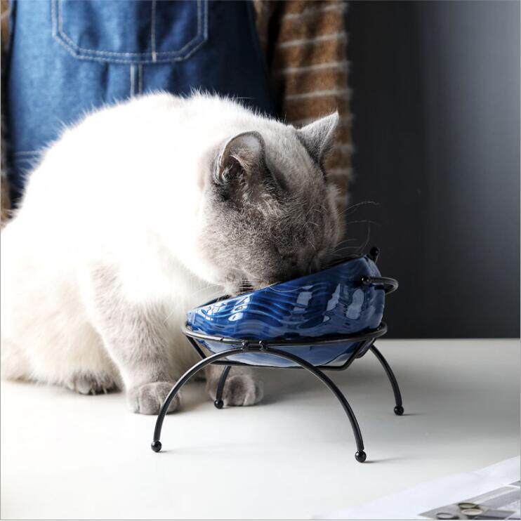 https://fulmo-img-server.com/petsara/b0e3c05d-697b-4ff0-9465-554d6ae9aa30.jpg