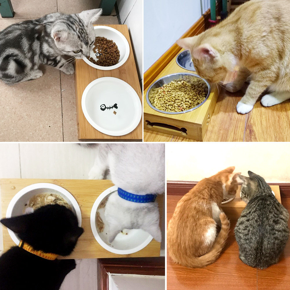 https://fulmo-img-server.com/petsara/ed640a08-74d3-4886-82dc-94eedc9a9e50.jpg