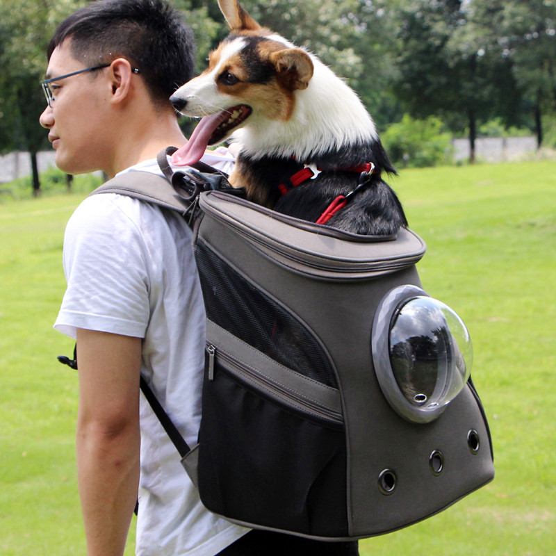 ペット キャリー 犬用宇宙船風リュック型ペットキャリー