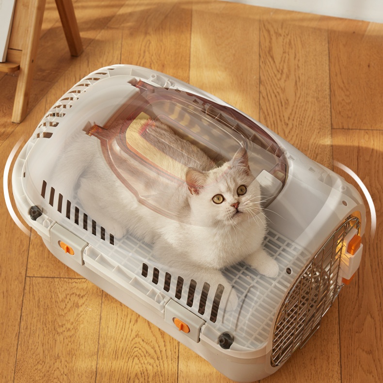 https://fulmo-img-server.com/pettokyarii/1742203414718_itr0rgju_7e1tju00.jpeg