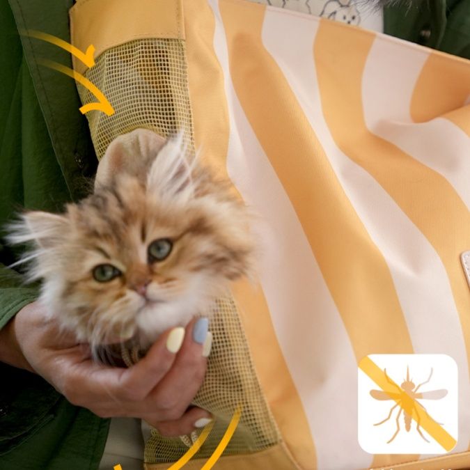 ペット キャリー おしゃれな猫用ストライプトートキャリー