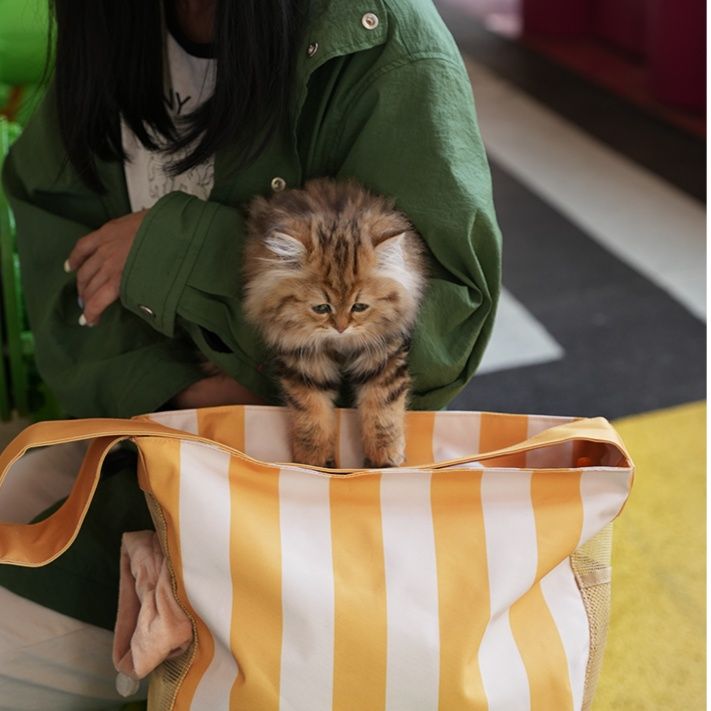 ペット キャリー おしゃれな猫用ストライプトートキャリー